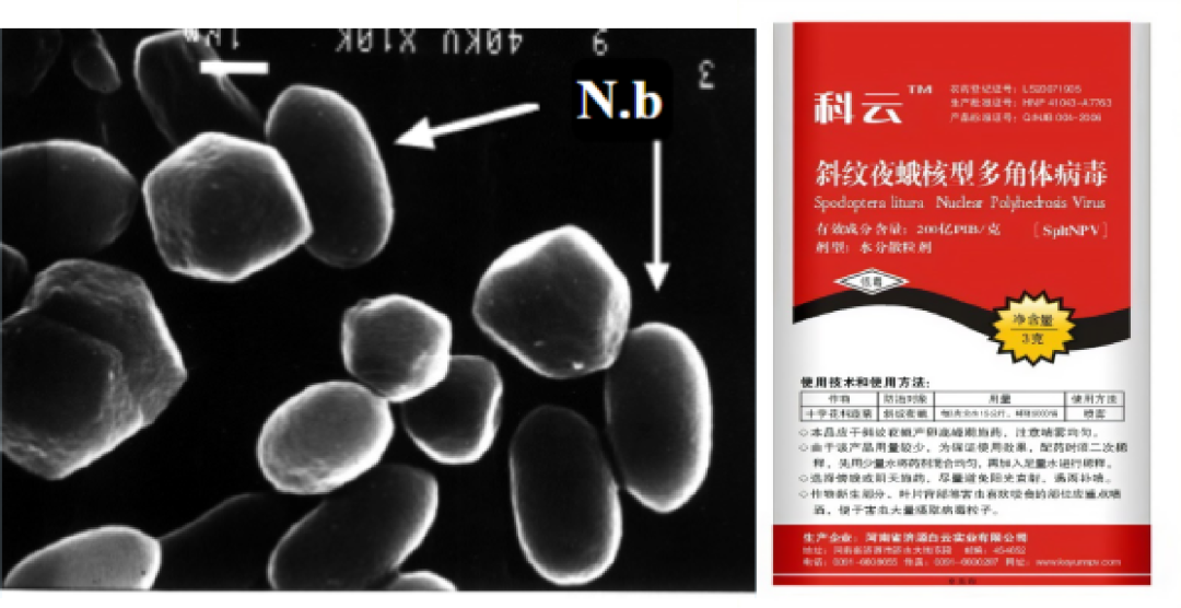 包头市城市管理局(图3)